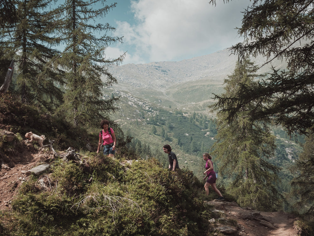 Der Berg ruft: Sommerfrische in Südtirol, purespective Journal, Kathrin Meister