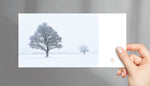 Winterkarte Weisse Stille VS, Pure Winter No. 3, purespective Kathrin Meister