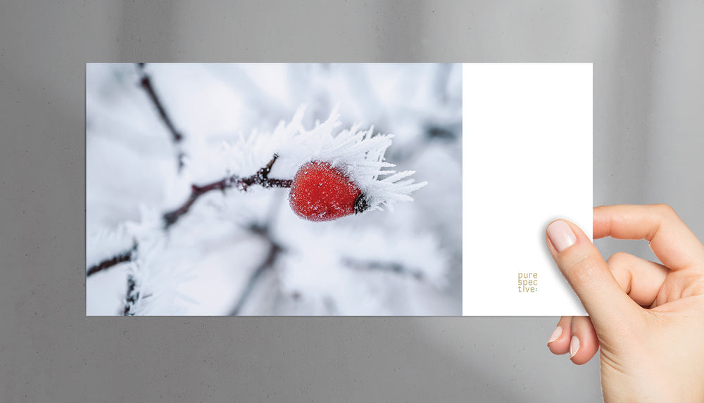 Winterkarte Frozen Hagebutte VS, purespective Kathrin Meister