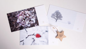 
                  
                    Drei Winterkarten im Set Pure Winter No. 3 purespective Kathrin Meister
                  
                