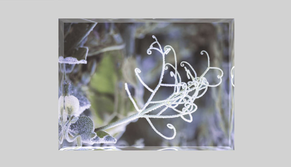 
                  
                    Kalte Anmut, Foto Acrylblock, purespective Kathrin Meister, Frontalansicht
                  
                