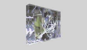 
                  
                    Kalte Anmut, Foto Acrylblock, purespective Kathrin Meister, seitliche Ansicht
                  
                