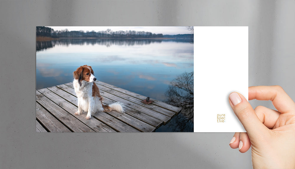 
                  
                    Fine Art Postkarte Dogscape Am See, Postkarte Kooikerhondje, purespective Onlineshop, Kathrin Meister Fotografie
                  
                