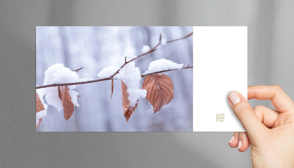 Winterkarte Schneebuche VS, purespective besondere Postkarten, Fotografie Kathrin Meister