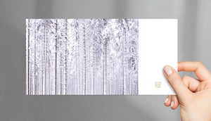 
                  
                    Postkartenset Weihnachten Besondere Weihnachtskarten Winterkarten purespective Winterwald VS
                  
                