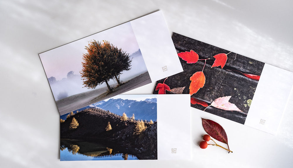 Pure Autumn | 3er Postkarten-Set 