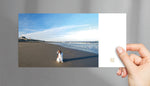Fine Art Postkarte Dogscape Am Meer, Postkarte Kooikerhondje, purespective Onlineshop, Kathrin Meister Fotografie 