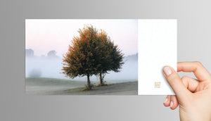 
                  
                    Pure Autumn | 3er Postkarten-Set "Herbst"
                  
                