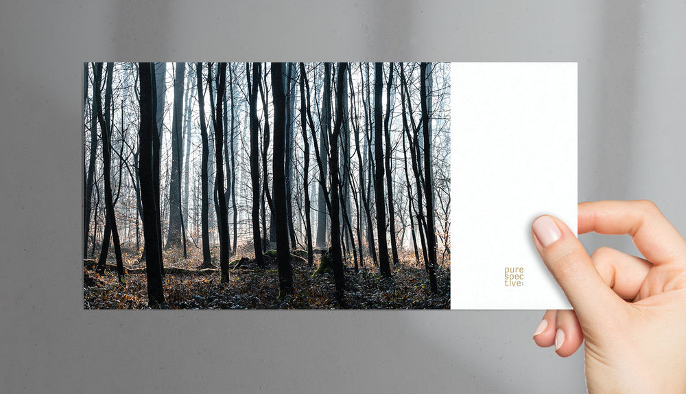 
                  
                    My Pure Year | 12er Postkarten-Set "Jahreskollektion" inkl. Sprüche-Sticker Geburtstag & Lieblingsmensch
                  
                
