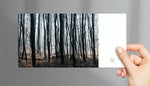 Fine Art Postkarte  Licht ins Dunkel VS, purespective Kathrin Meister
